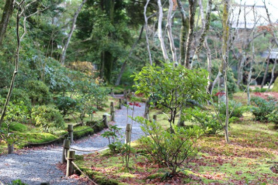 京都・庭