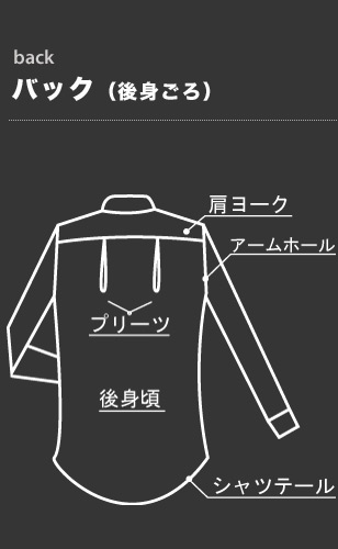 バック（後身ごろ）