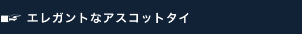 エレガントなアスコットタイ