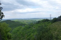 青梅丘陵ハイキングコース風景