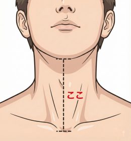 ozie|オジエ　首の長さの測り方