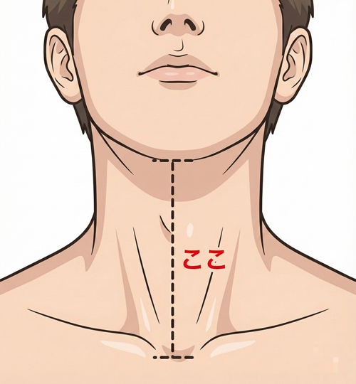 ozie|オジエ 首の長さの測り方
