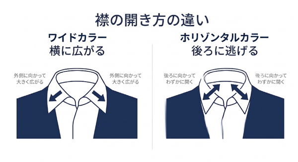 ozie|オジエ　ワイドカラーとホリゾンタルカラーの襟の開き方の違い