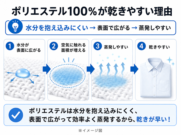 ozie|オジエ ポリエステル100%が乾きやすい理由