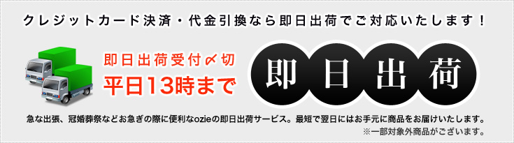 即日出荷 平日13時までのご注文は即日出荷です
